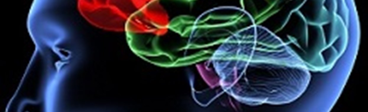 You're viewing Brain Injury Training - September Brain Injury Training - September