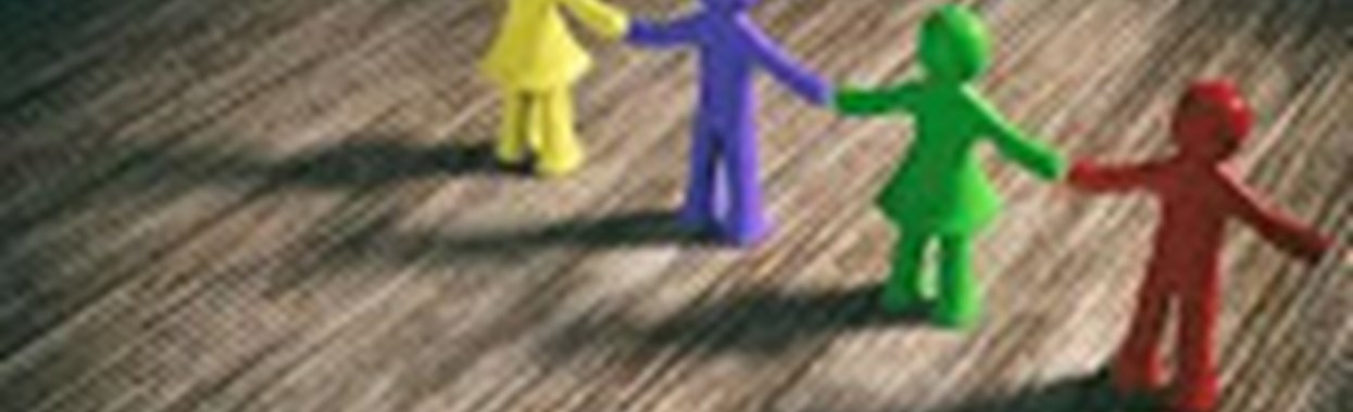 You're viewing Diversity & Inclusion in Service Delivery Diversity & Inclusion in Service Delivery