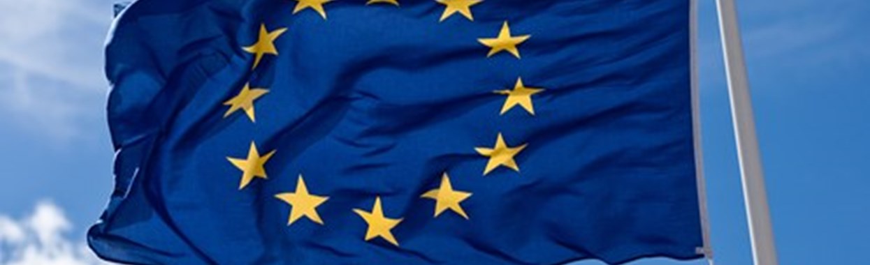 You're viewing EU Settlement for Non-Immigration Advisers EU Settlement for Non-Immigration Advisers