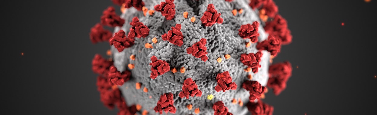 You're viewing Homeless Link - COVID-19 (Coronavirus) Information and Resources Homeless Link - COVID-19 (Coronavirus) Information and Resources