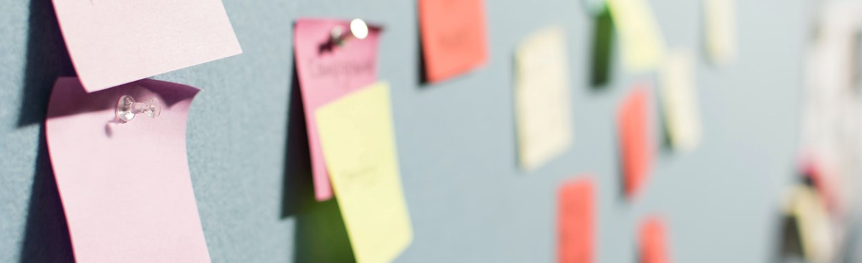 You're viewing Working Together: A Collaborative Insight Project Working Together: A Collaborative Insight Project