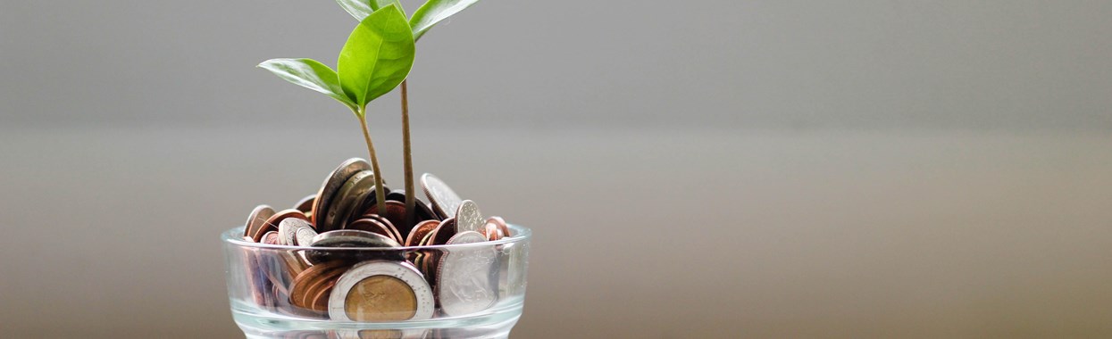You're viewing The funding gap - Free Legal Advice Sector The funding gap - Free Legal Advice Sector
