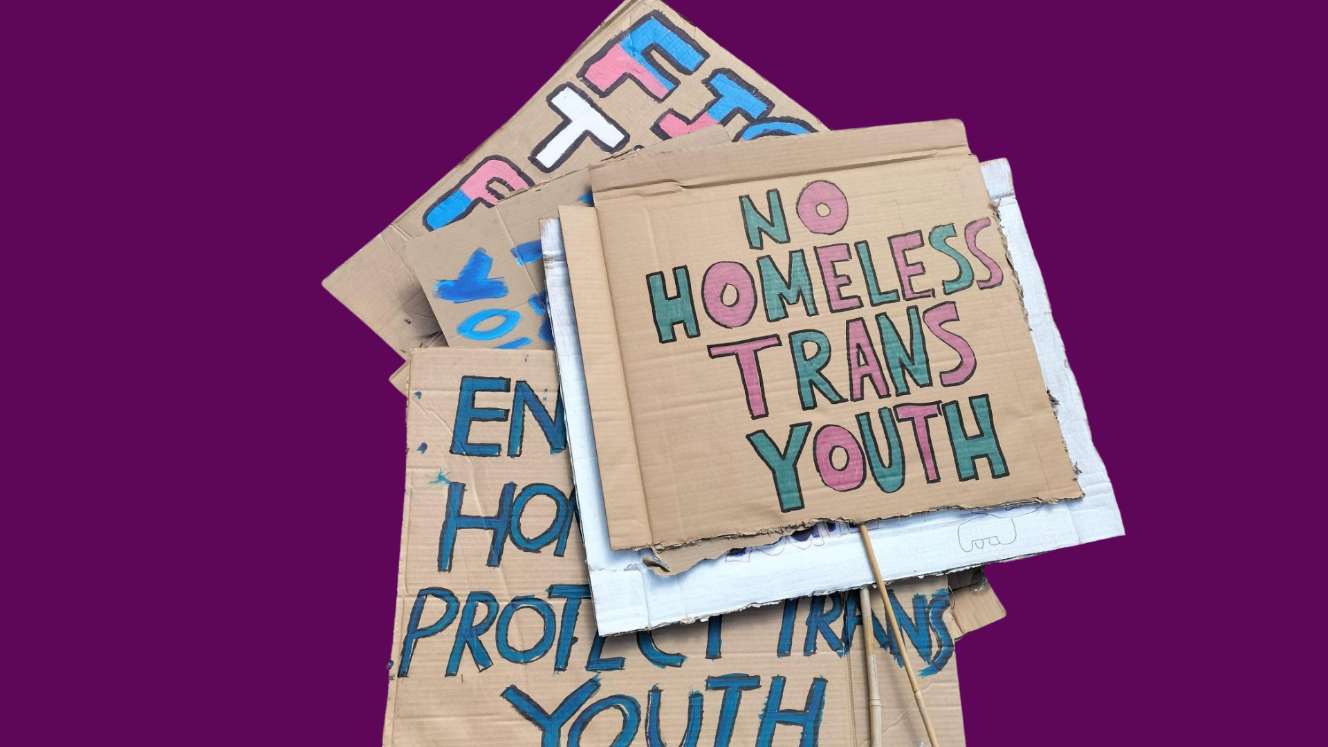 akt's Trans Pathway Peer Researcher Project