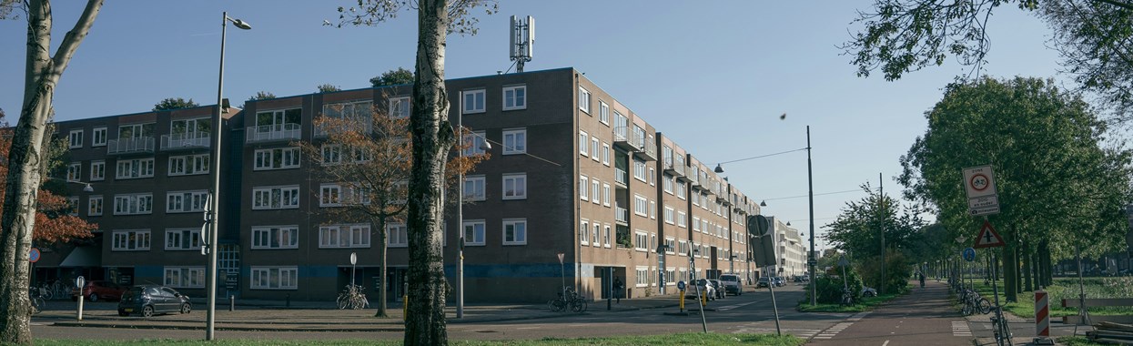 You're viewing Prioritising staff wellbeing in the homelessness sector Prioritising staff wellbeing in the homelessness sector